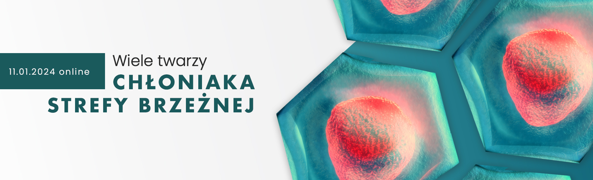 Wiele twarzy chłoniaka strefy brzeżnej