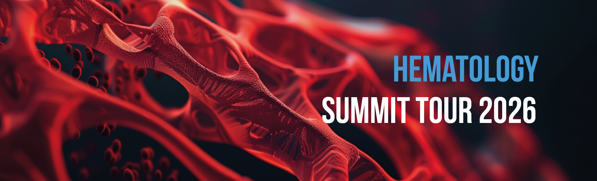 Hematology Summit Tour